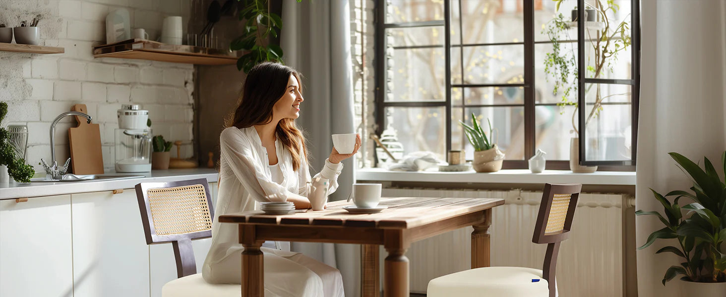 Subrtex Dining Chairs Set of 2, Mid Century Modern Dining Chairs, Kitchen & Dining Room Chairs