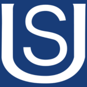 Subrtex Official logo